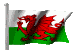 Welsh Tope Record
