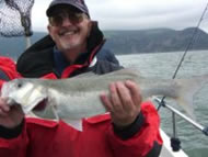 Bass fishing in the Bristol Channel