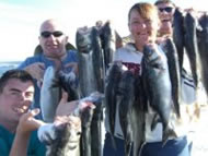 Bass fishing in the Bristol Channel