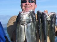 Bass fishing in the Bristol Channel