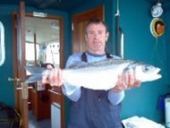 Bass fishing in the Bristol Channel