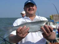 Bass fishing in the Bristol Channel