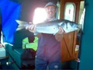 Bass fishing in the Bristol Channel