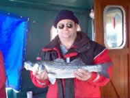 Bass fishing in the Bristol Channel