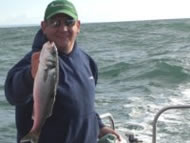 Bass fishing in the Bristol Channel