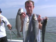 Bass fishing in the Bristol Channel