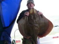 Blonde Ray fishing in the Bristol Channel