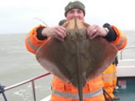 Blonde Ray fishing in the Bristol Channel