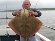 Blonde Ray fishing in the Bristol Channel