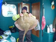 Blonde Ray fishing in the Bristol Channel