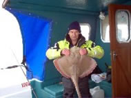 Blonde Ray fishing in the Bristol Channel