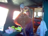 Blonde Ray fishing in the Bristol Channel