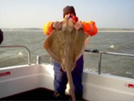 Blonde Ray fishing in the Bristol Channel