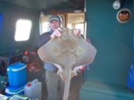 Blonde Ray fishing in the Bristol Channel
