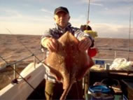 Blonde Ray fishing in the Bristol Channel