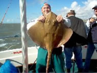 Blonde Ray fishing in the Bristol Channel