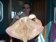Blonde Ray fishing in the Bristol Channel