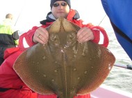 Blonde Ray fishing in the Bristol Channel