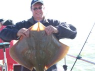 Blonde Ray fishing in the Bristol Channel