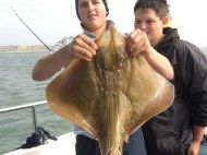 Blonde Ray fishing in the Bristol Channel