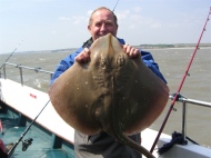Blonde Ray fishing in the Bristol Channel