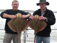 Blonde Ray fishing in the Bristol Channel