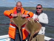 Blonde Ray fishing in the Bristol Channel
