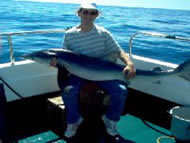 Blue Shark fishing in the Bristol Channel