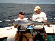 Blue Shark fishing in the Bristol Channel