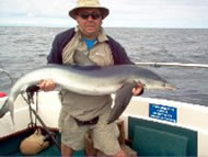 Blue Shark fishing in the Bristol Channel