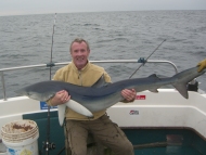 Blue Shark fishing in the Bristol Channel