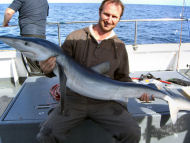 Blue Shark fishing in the Bristol Channel
