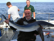 Blue Shark fishing in the Bristol Channel