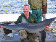 Blue Shark fishing in the Bristol Channel