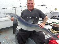 Blue Shark fishing in the Bristol Channel