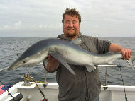 Blue Shark fishing in the Bristol Channel