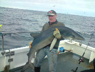 Blue Shark fishing in the Bristol Channel