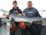 Blue Shark fishing in the Bristol Channel