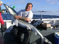 Blue Shark fishing in the Bristol Channel