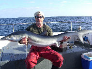 Blue Shark fishing in the Bristol Channel