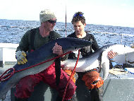 Blue Shark fishing in the Bristol Channel