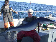 Blue Shark fishing in the Bristol Channel