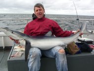 Blue Shark fishing in the Bristol Channel