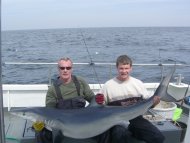 Blue Shark fishing in the Bristol Channel