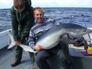 Blue Shark fishing in the Bristol Channel
