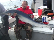 Blue Shark fishing in the Bristol Channel
