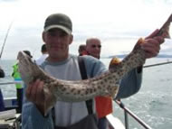 Bull Huss fishing in the Bristol Channel