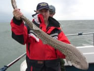 Bull Huss fishing in the Bristol Channel