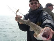 Bull Huss fishing in the Bristol Channel