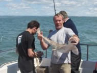 Bull Huss fishing in the Bristol Channel